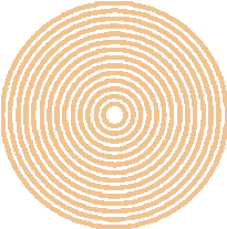 Shape